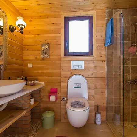 Villa Ambar Badem Willa *